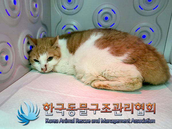 종료(자연사) 한국…