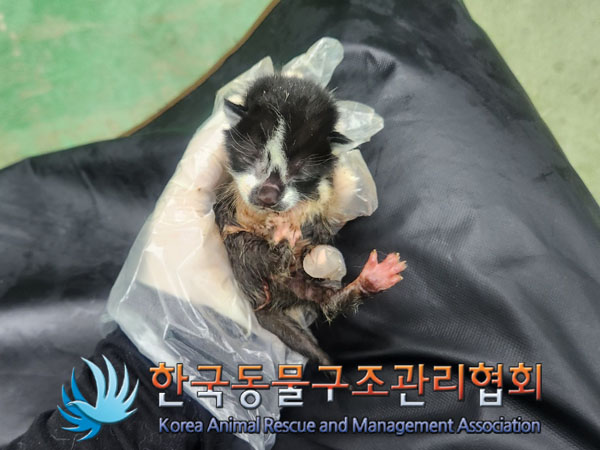 종료(자연사) 한국…