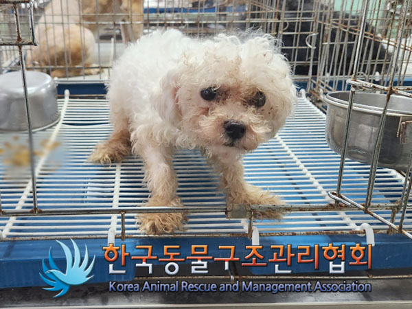 한국동물구조관리협회_411304202300598