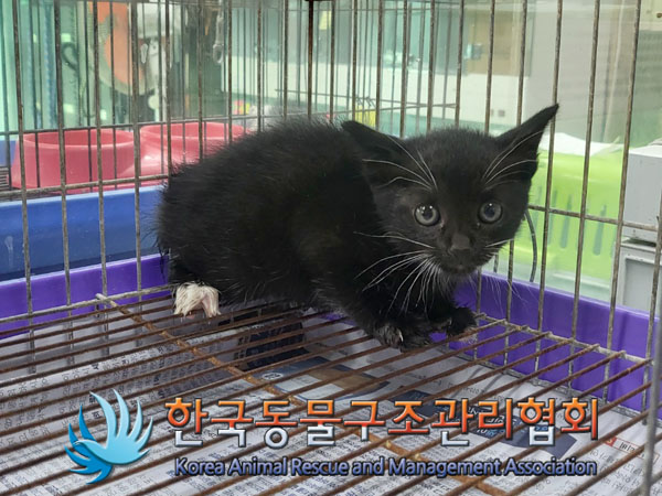 종료(자연사) 한국…