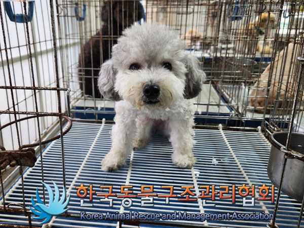 한국동물구조관리협회_411322202300621
