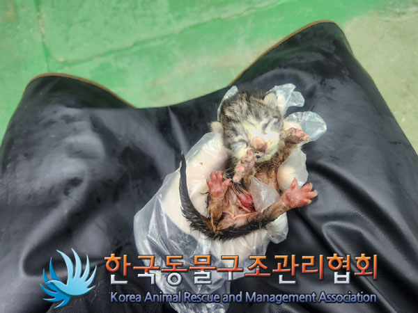 한국동물구조관리협회_411323202300793