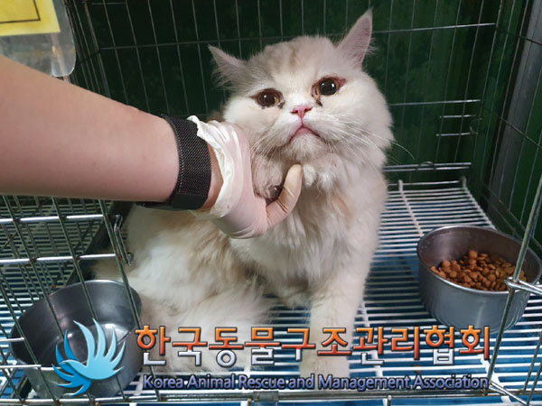 한국동물구조관리협회_441382202300623