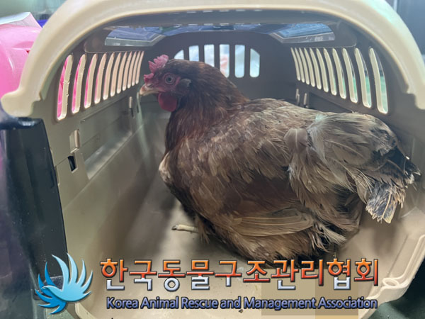 한국동물구조관리협회_441409202301461