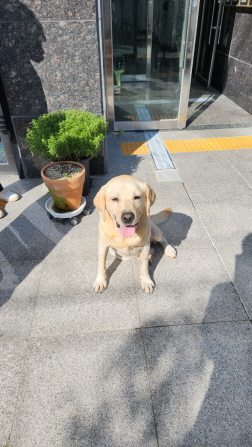 익산유기동물보호소_445468202301796