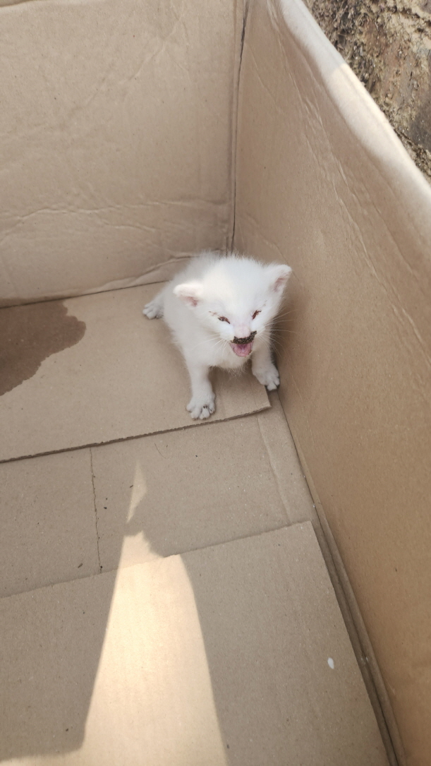 익산유기동물보호소_445468202301797