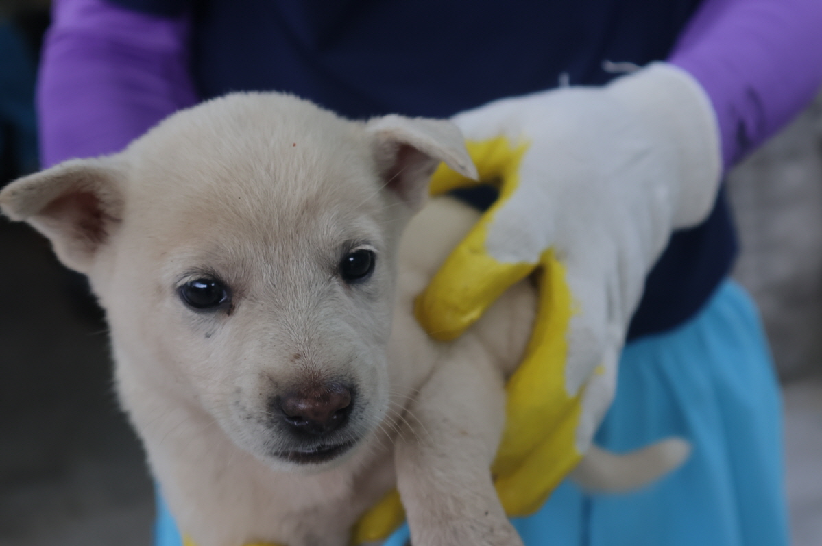 제주 동물보호센터_450650202303251