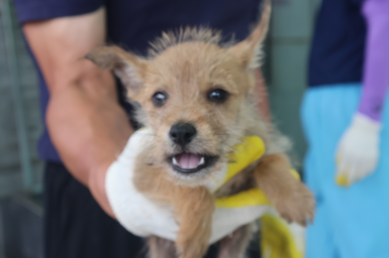 제주 동물보호센터_450650202303261
