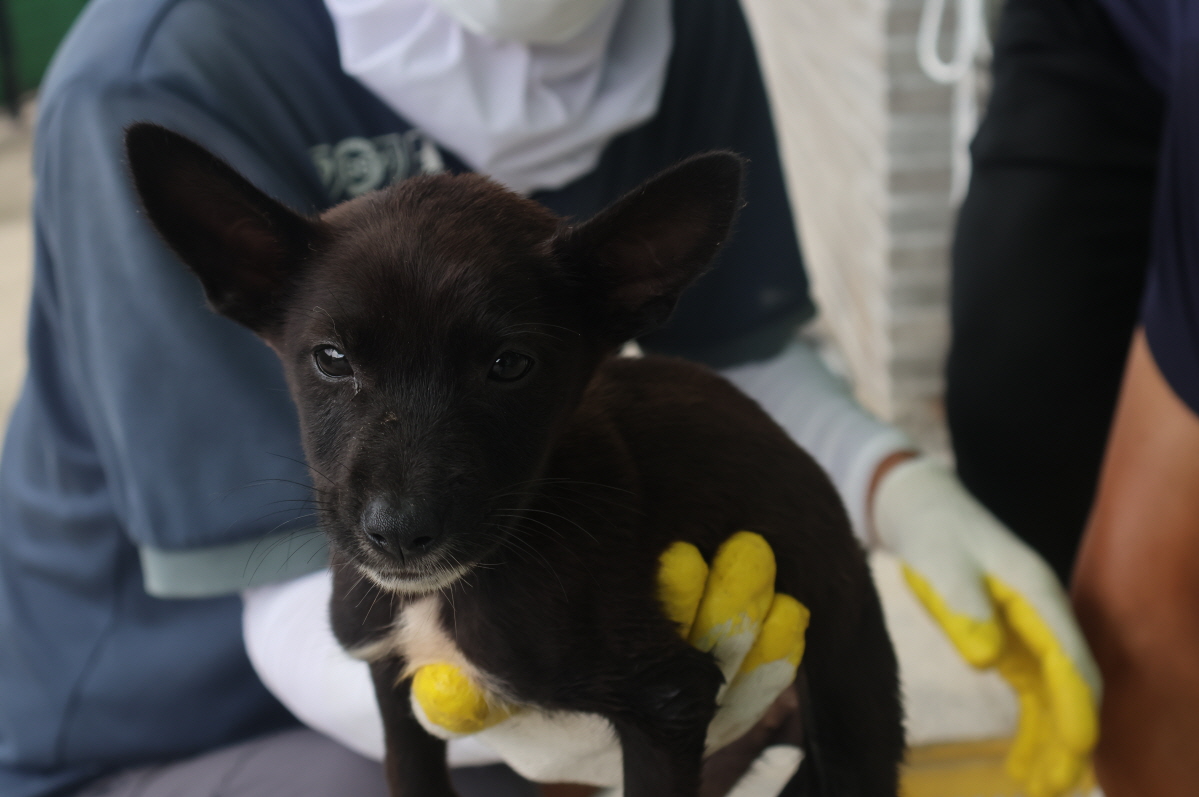 제주 동물보호센터_450650202303260