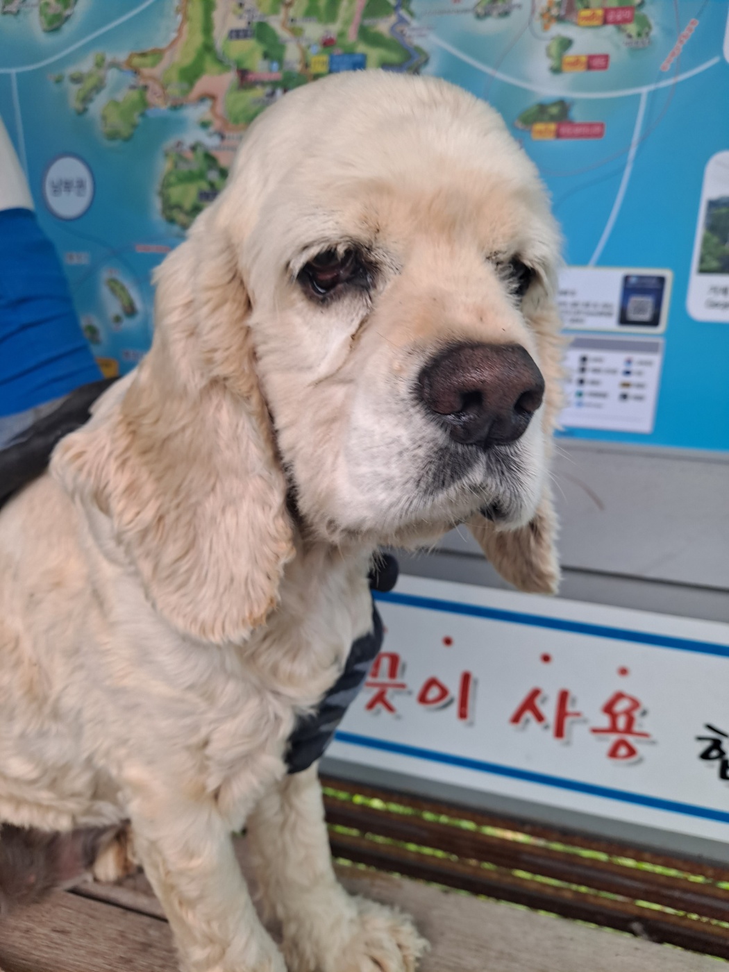 종료(반환) 코카 …