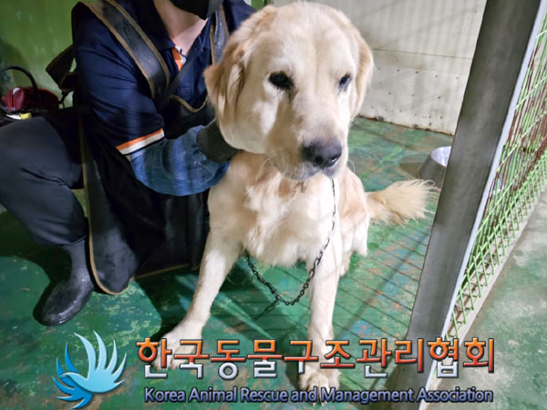 한국동물구조관리협회_441398202300360