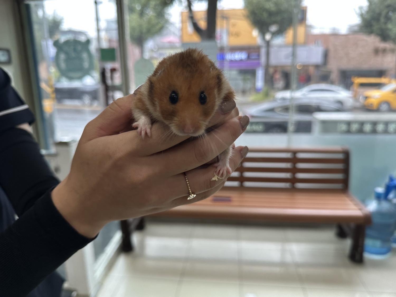 가정동물병원_428356202301609