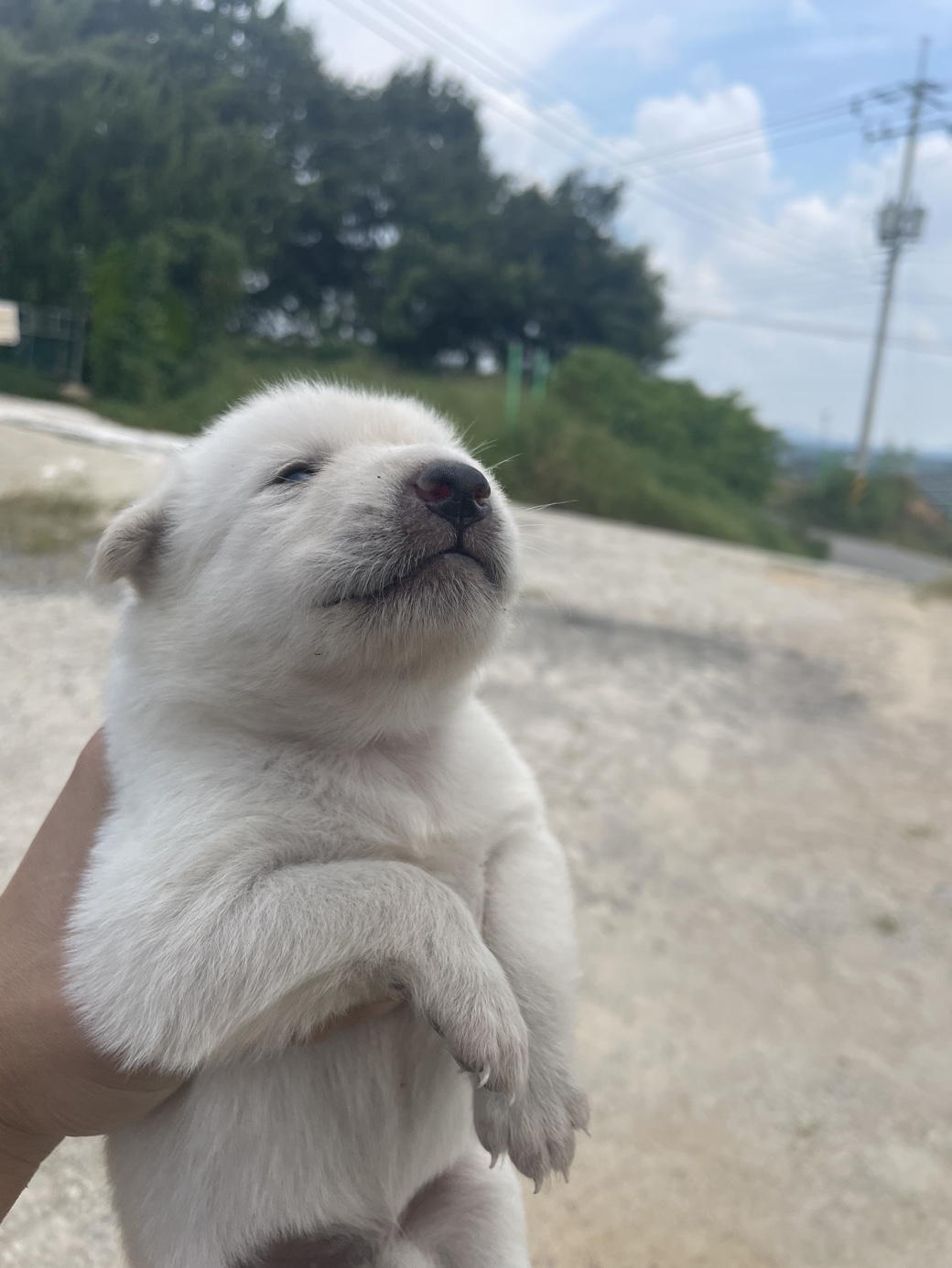 희망동물보호소_445478202300187