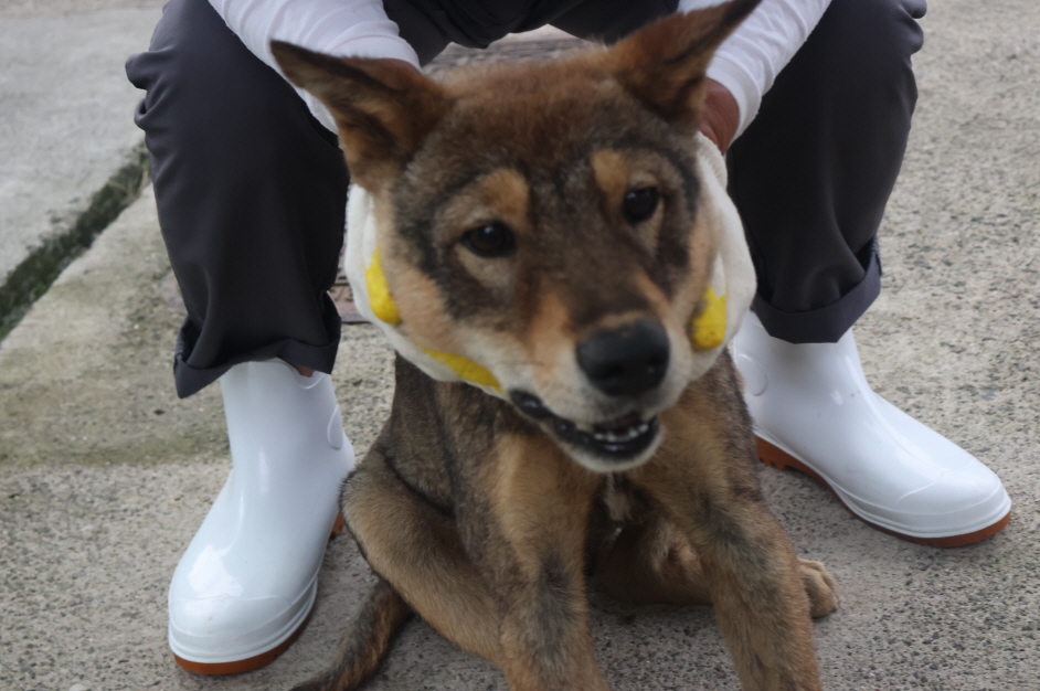 제주 동물보호센터_450650202303277