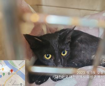 대전동물보호센터_430367202300566