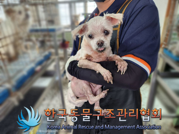한국동물구조관리협회_411318202300378