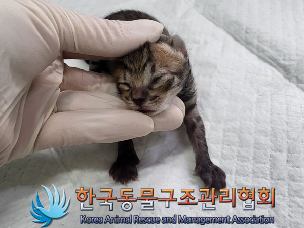 종료(자연사) 한국…