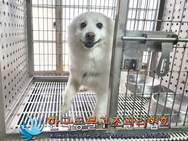 한국동물구조관리협회_411312202300593