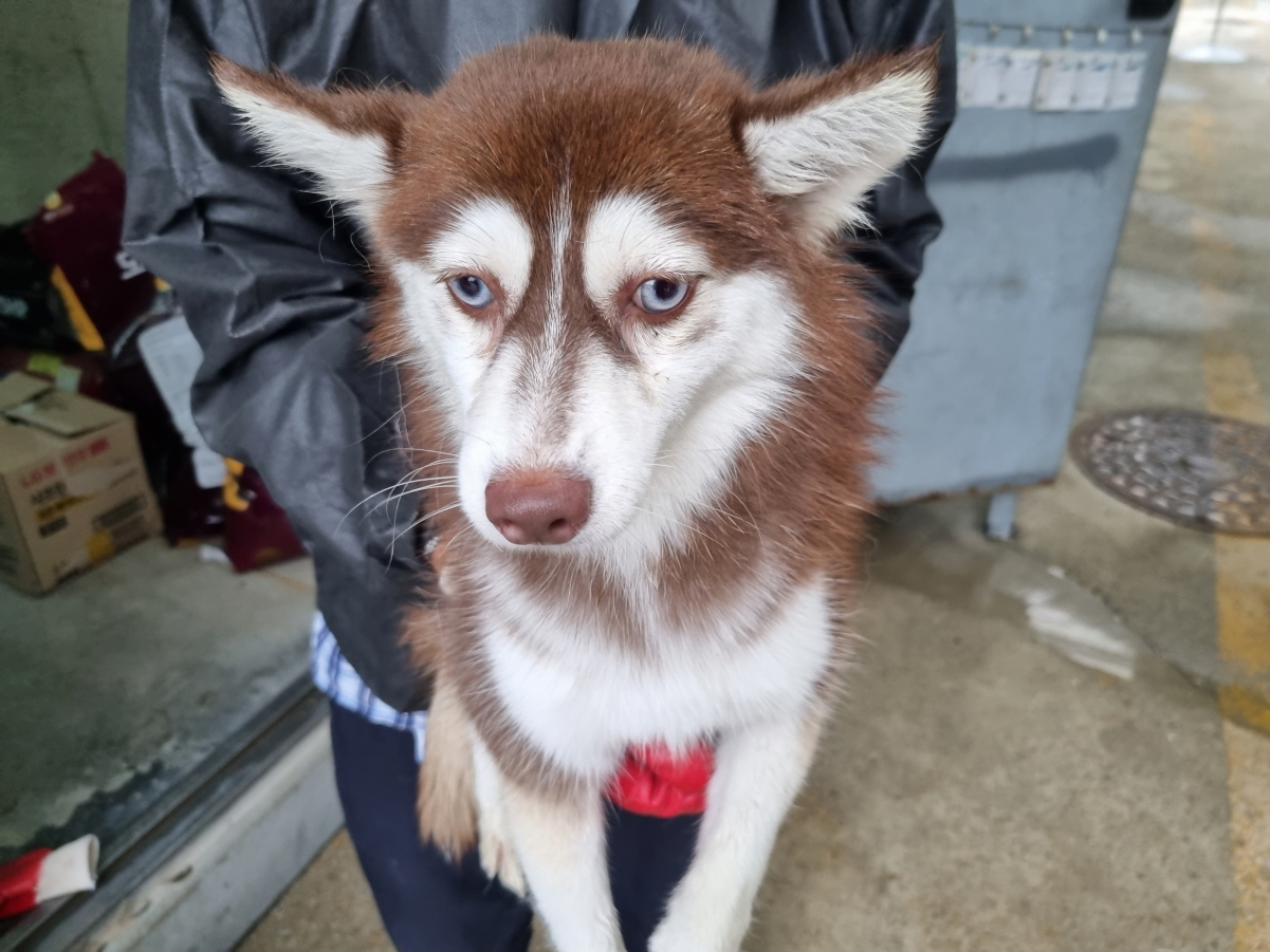 양산시 동물보호센터_448538202300538