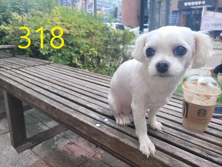 신영재동물병원_428355202300506