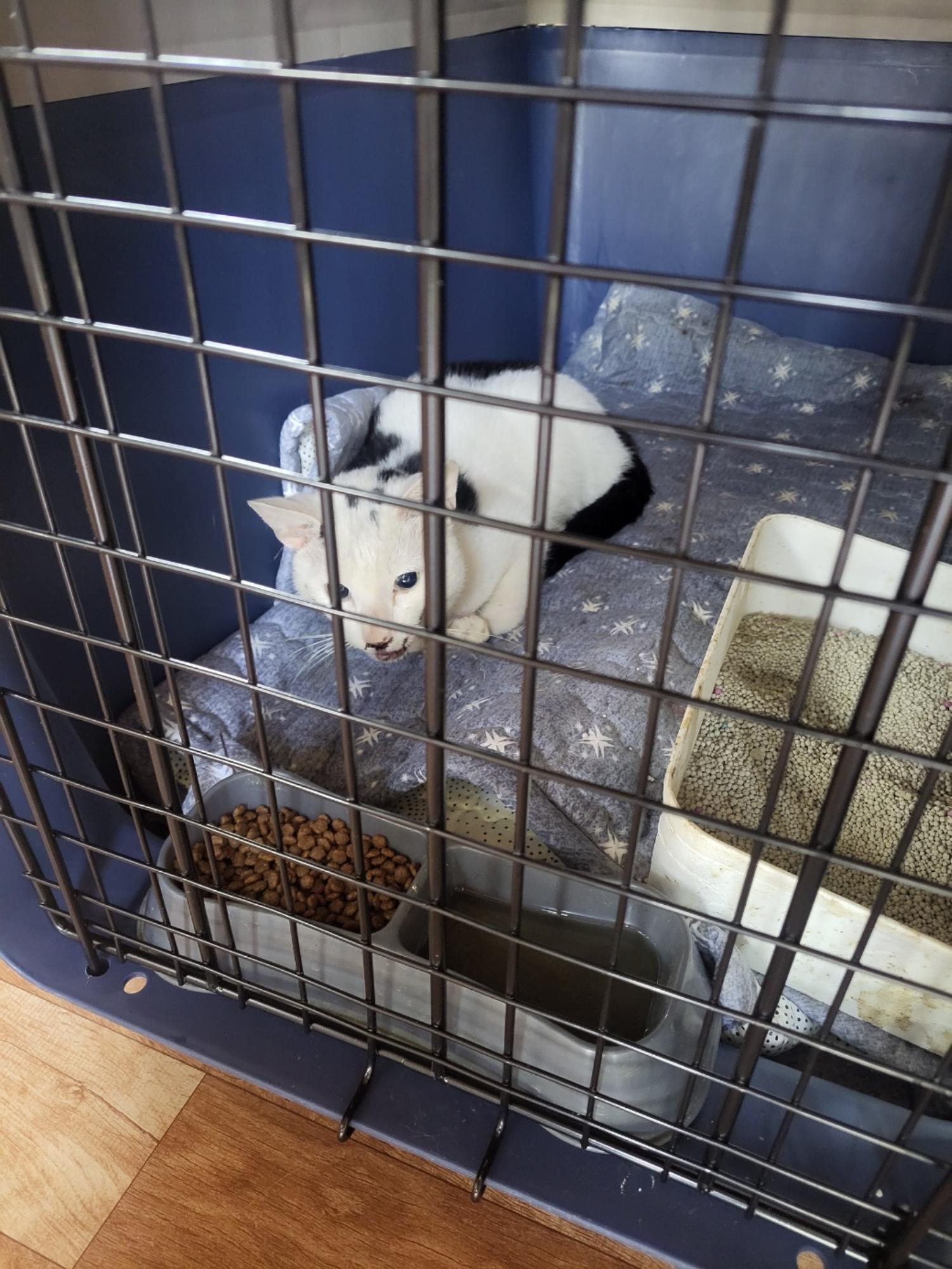 진안군유기동물보호소_445473202300534