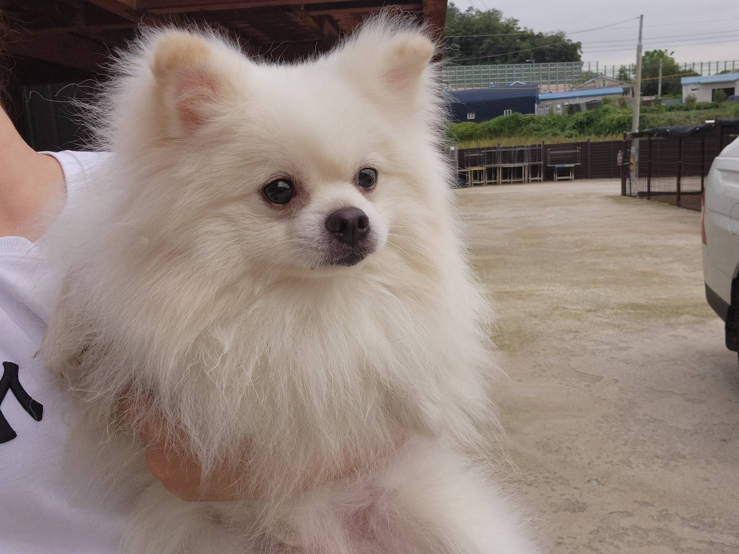 한국야생동물보호협회_441393202301793