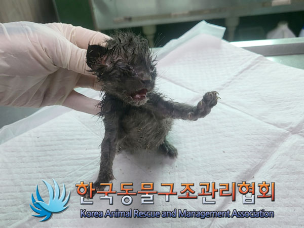 종료(자연사) 한국…