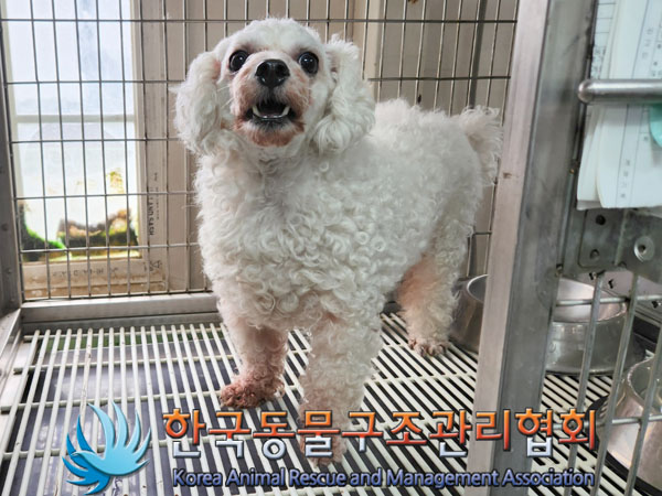 한국동물구조관리협회_411310202300420