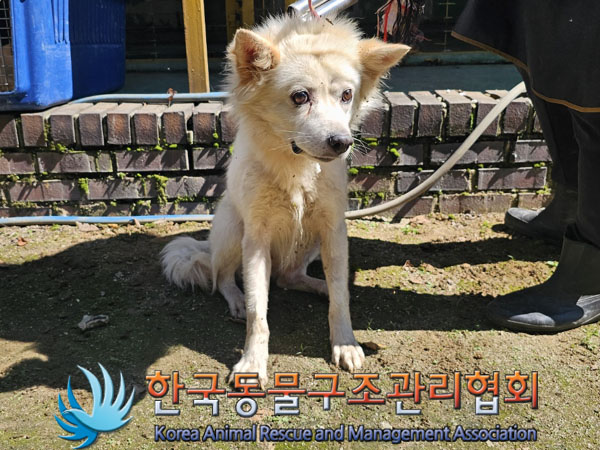 한국동물구조관리협회_441560202301112