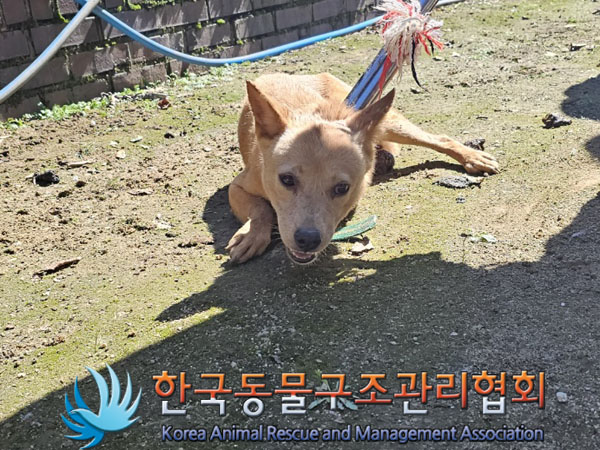 한국동물구조관리협회_441560202301111