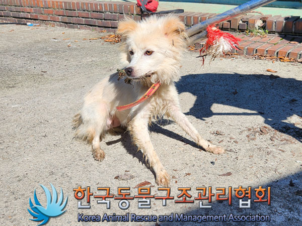 한국동물구조관리협회_441560202301140