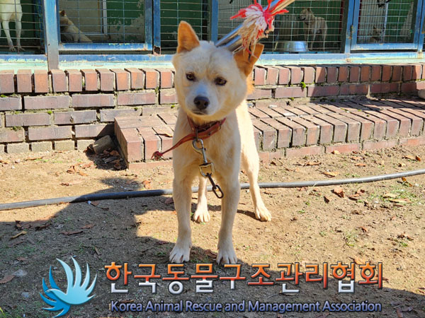 한국동물구조관리협회_441560202301144
