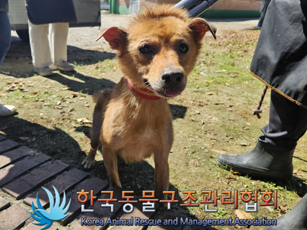한국동물구조관리협회_441560202301124