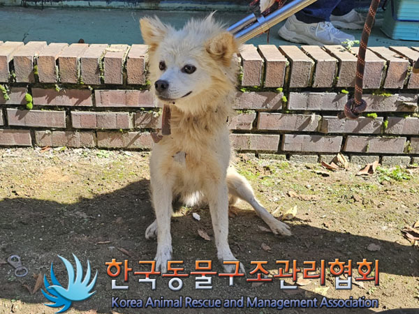 종료(안락사) 믹스…