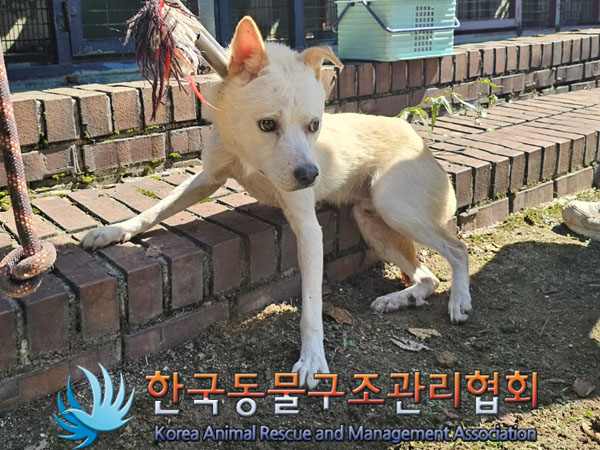 한국동물구조관리협회_441560202301126