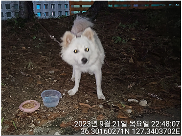 대전동물보호센터_430366202300539