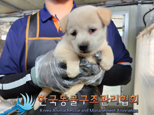 종료(자연사) 믹스…