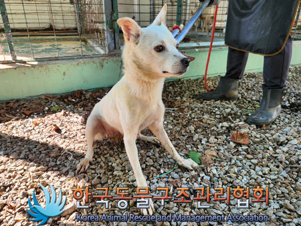 한국동물구조관리협회_441560202301164