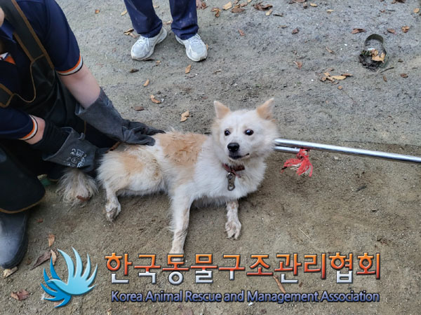 종료(안락사) 믹스…