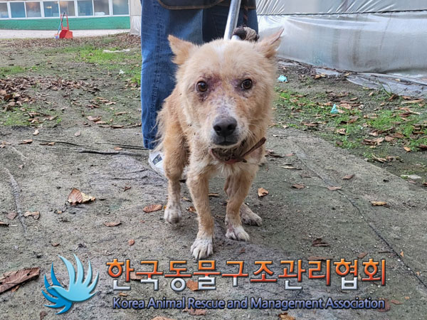 한국동물구조관리협회_441560202301184