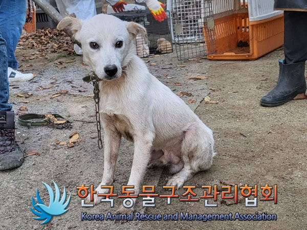 한국동물구조관리협회_441560202301185