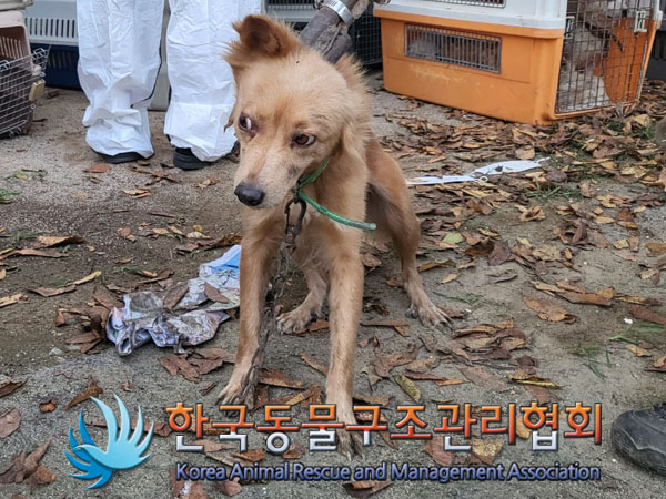 한국동물구조관리협회_441560202301191