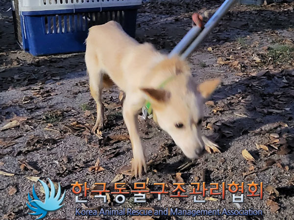 한국동물구조관리협회_441560202301223