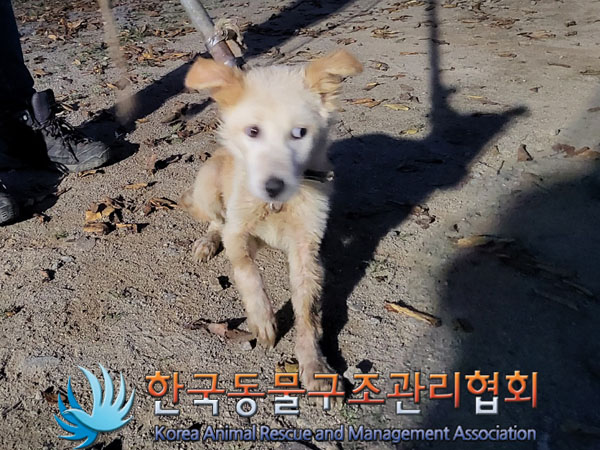 한국동물구조관리협회_441560202301226