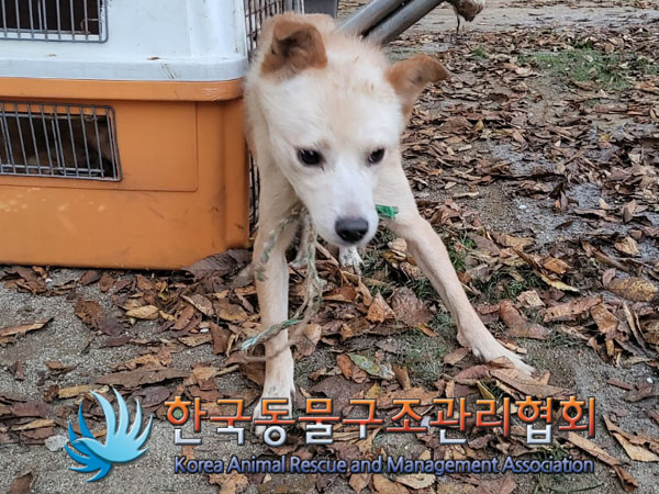 한국동물구조관리협회_441560202301206