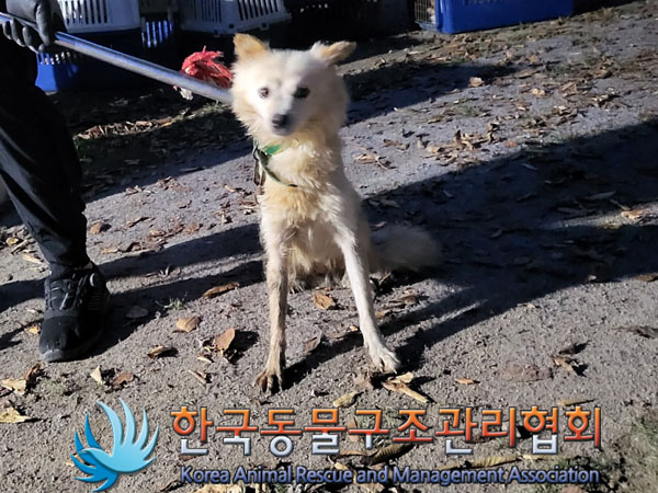 한국동물구조관리협회_441560202301228