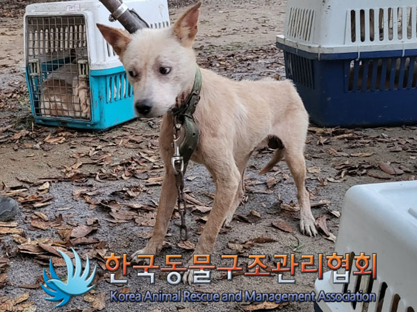 한국동물구조관리협회_441560202301209