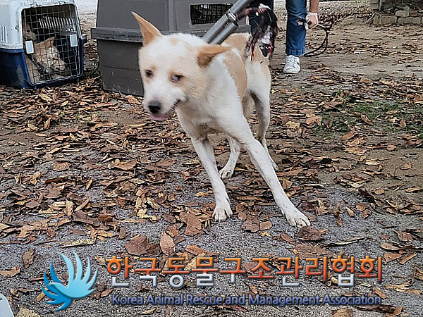 한국동물구조관리협회_441560202301211