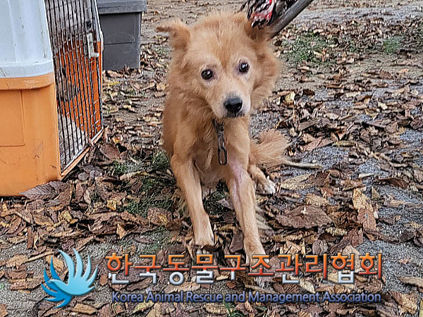 한국동물구조관리협회_441560202301202
