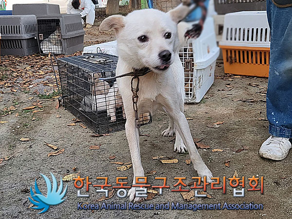 한국동물구조관리협회_441560202301192